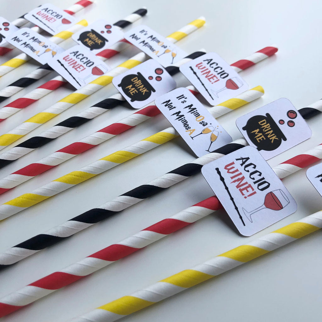 Harry Potter Party Paper Straws - 12 Pack